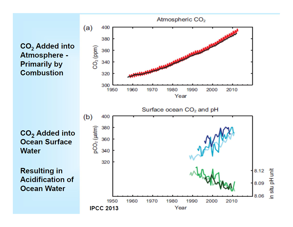 CO2 for the Atmosphere and Ocean