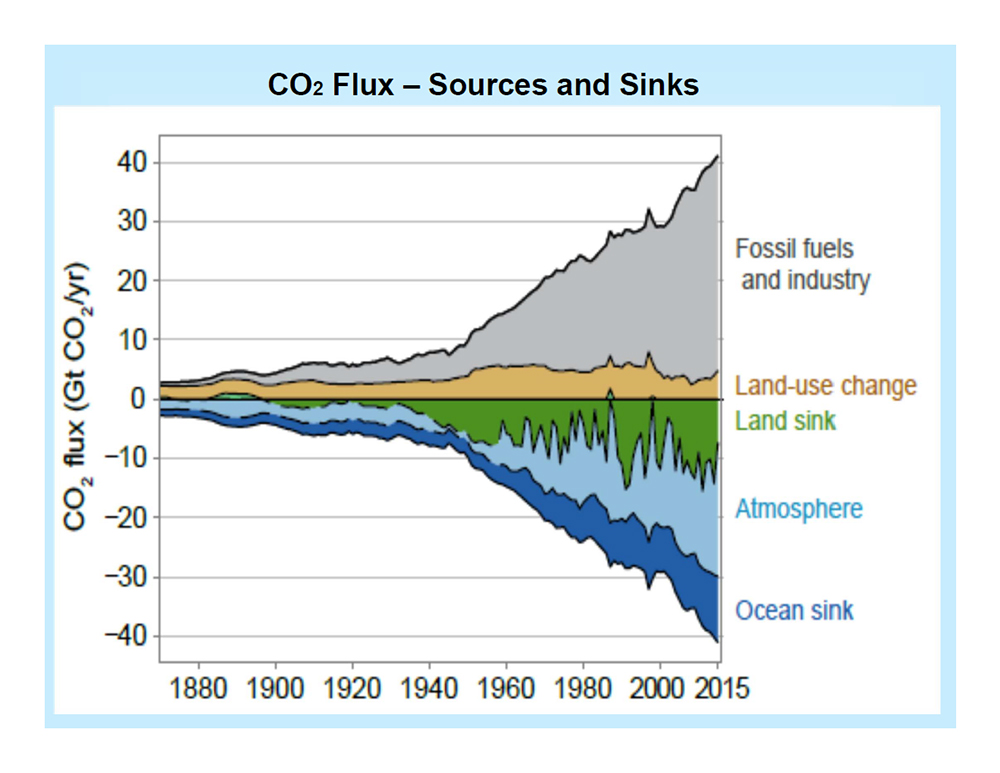 CO2 Flux - Sources and Sinks