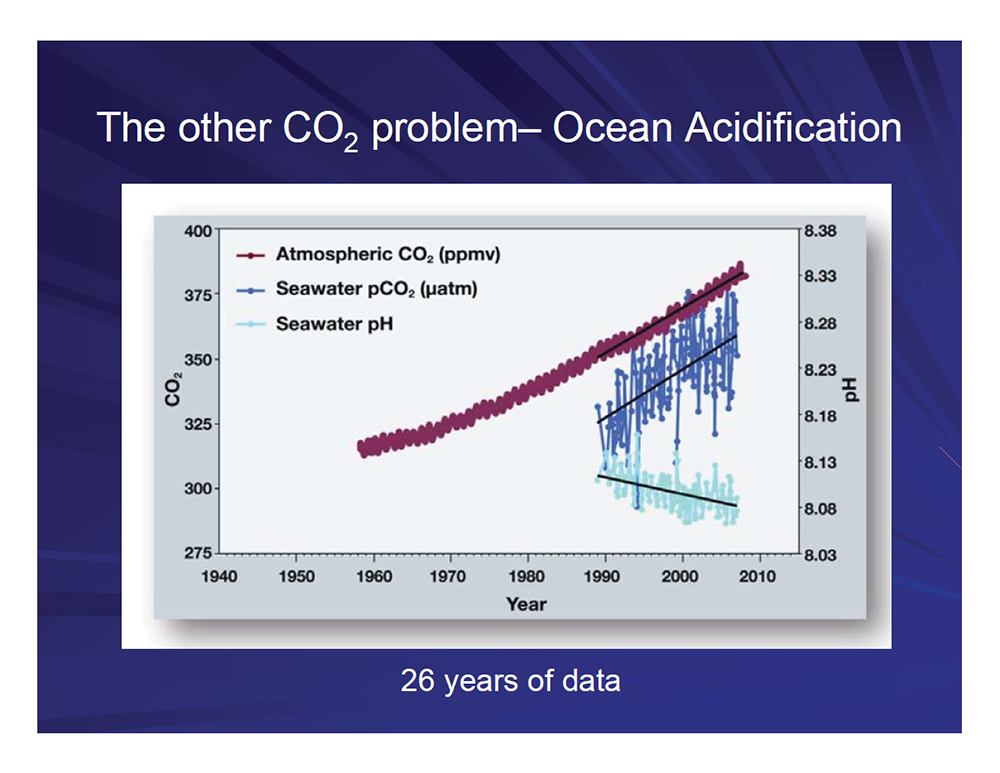 The other CO2 problem - Ocean Acidification