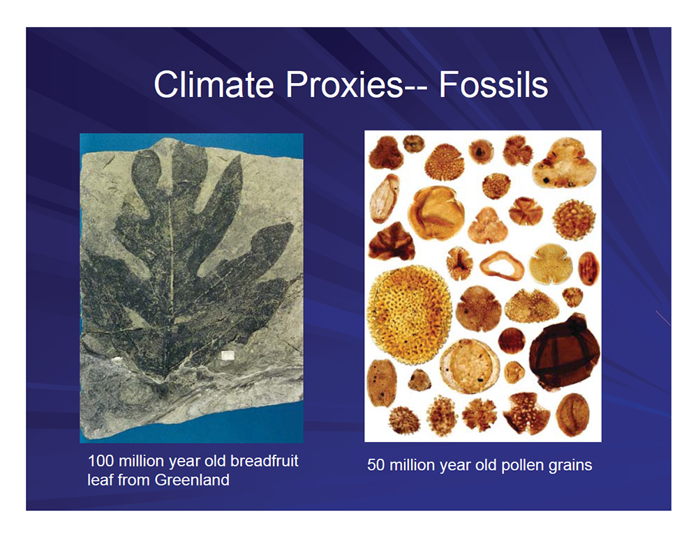 Climate Proxies -- Fossils
