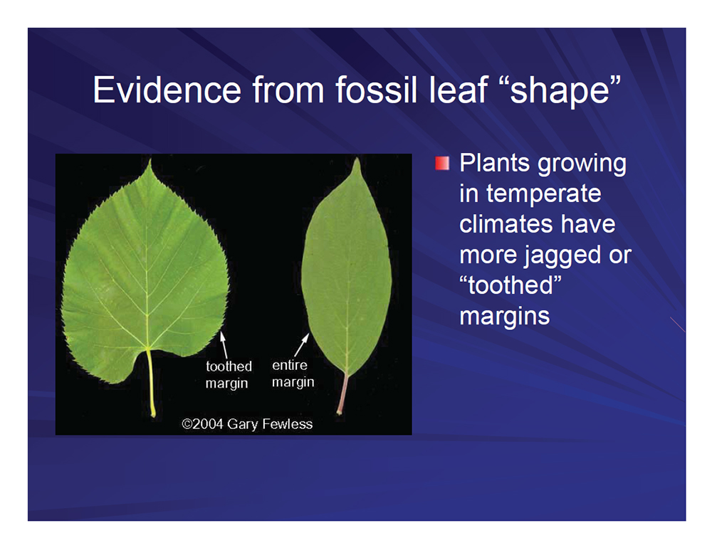 Evidence from fossil leaf shape 2