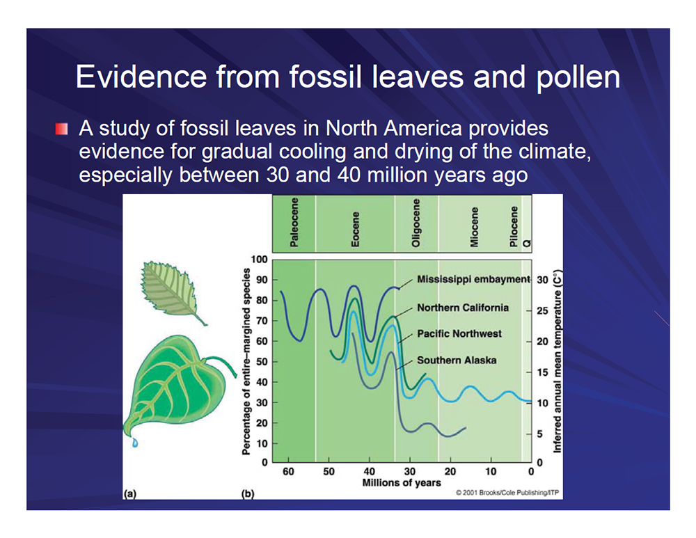 Evidence from fossil leaves and pollen