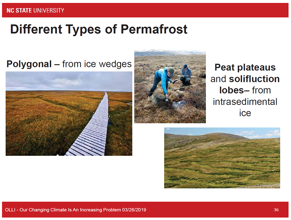 Different Types of Permafros