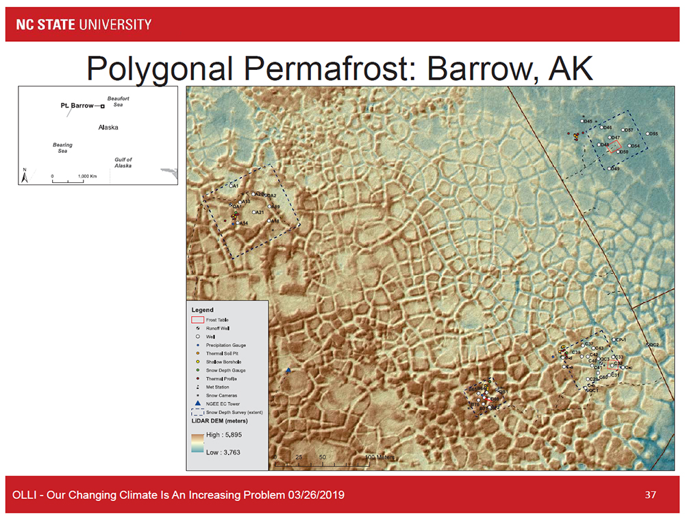 Polygonal Permafrost: Barrow, AK