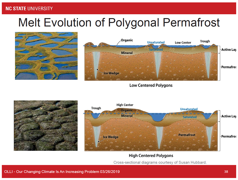 Melt Evolution of Polygonal Permafrost