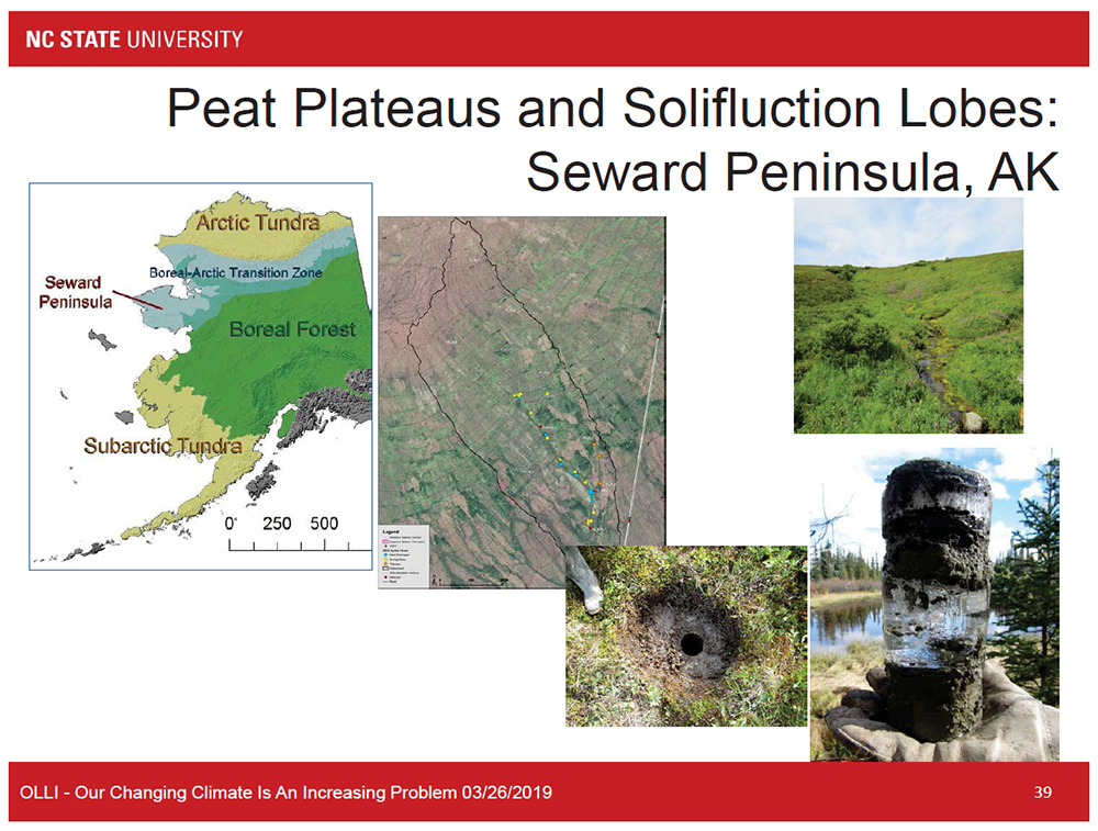 Peat Plateaus and Solifluction Lobes: Seward Peninsula, AK