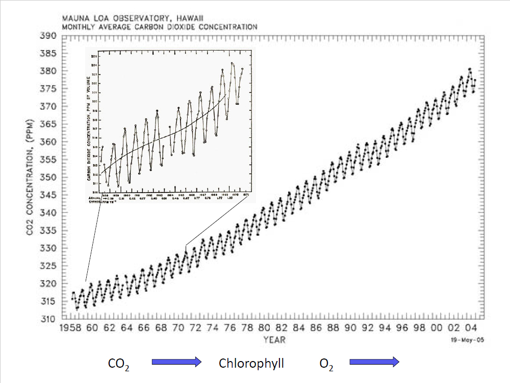 Monthly Average Carbon Dioxide Concentration, Mauna Loa Observatory, Hawaii