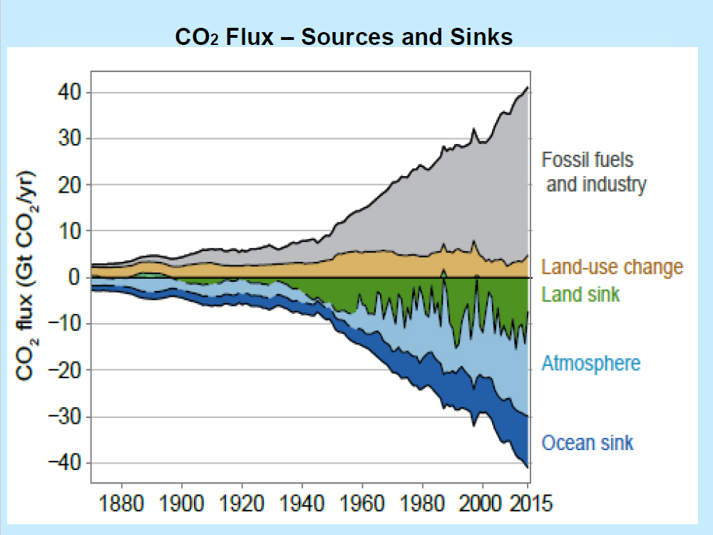 CO2 Flux - Sources and Sinks